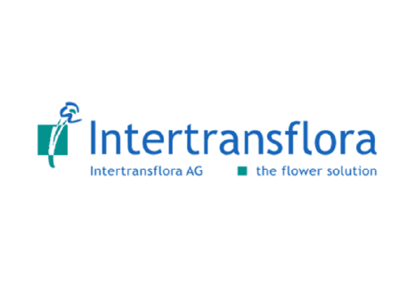 Intertransflora